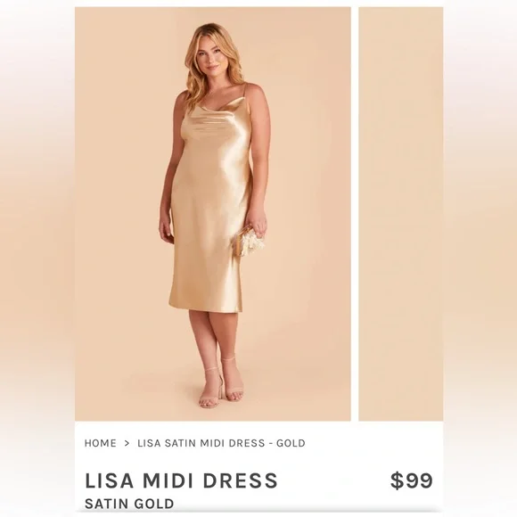 lisa satin midi dress Birdy Grey - Lisa Satin Midi Dress
